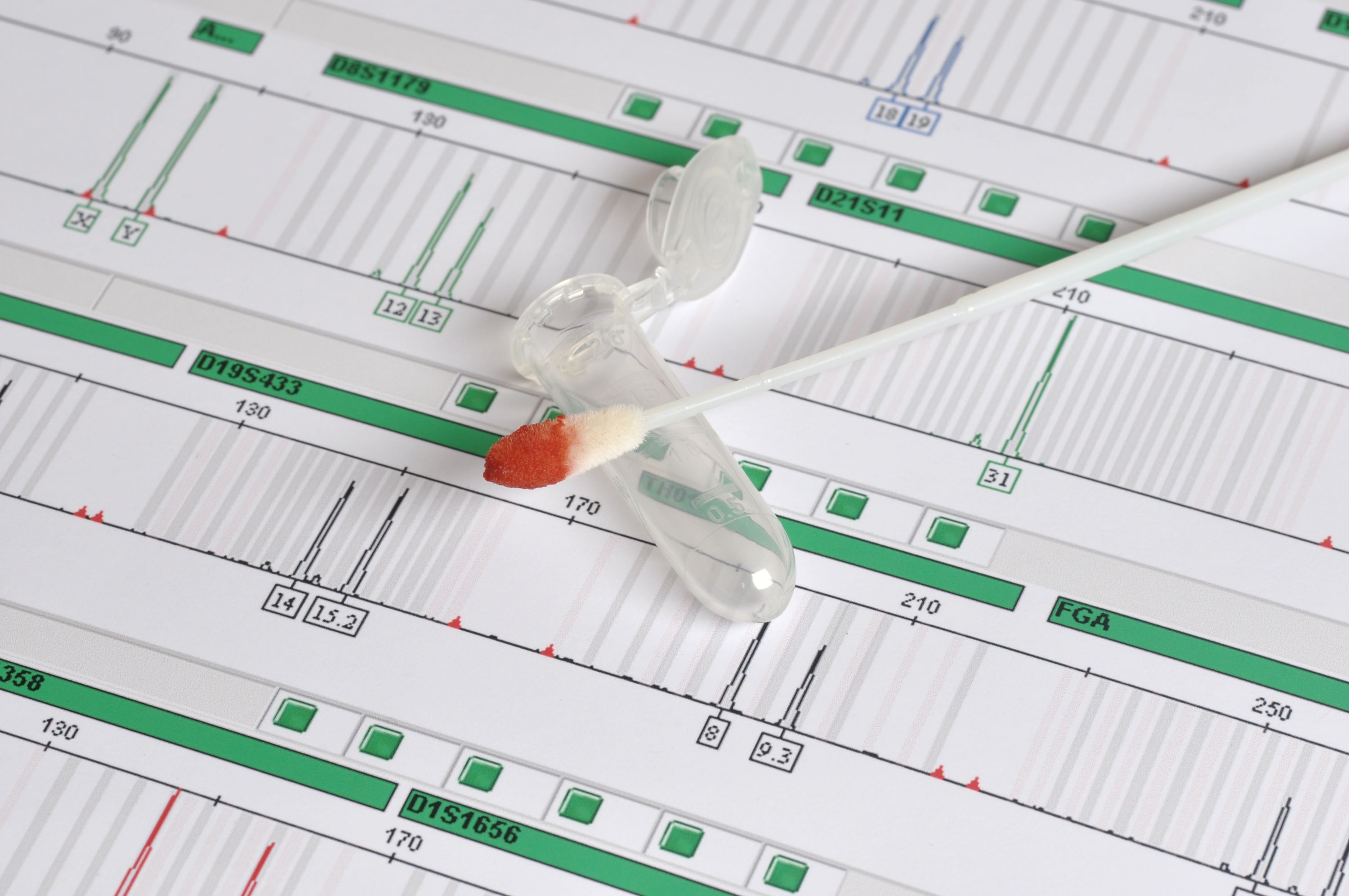 DNA Database image