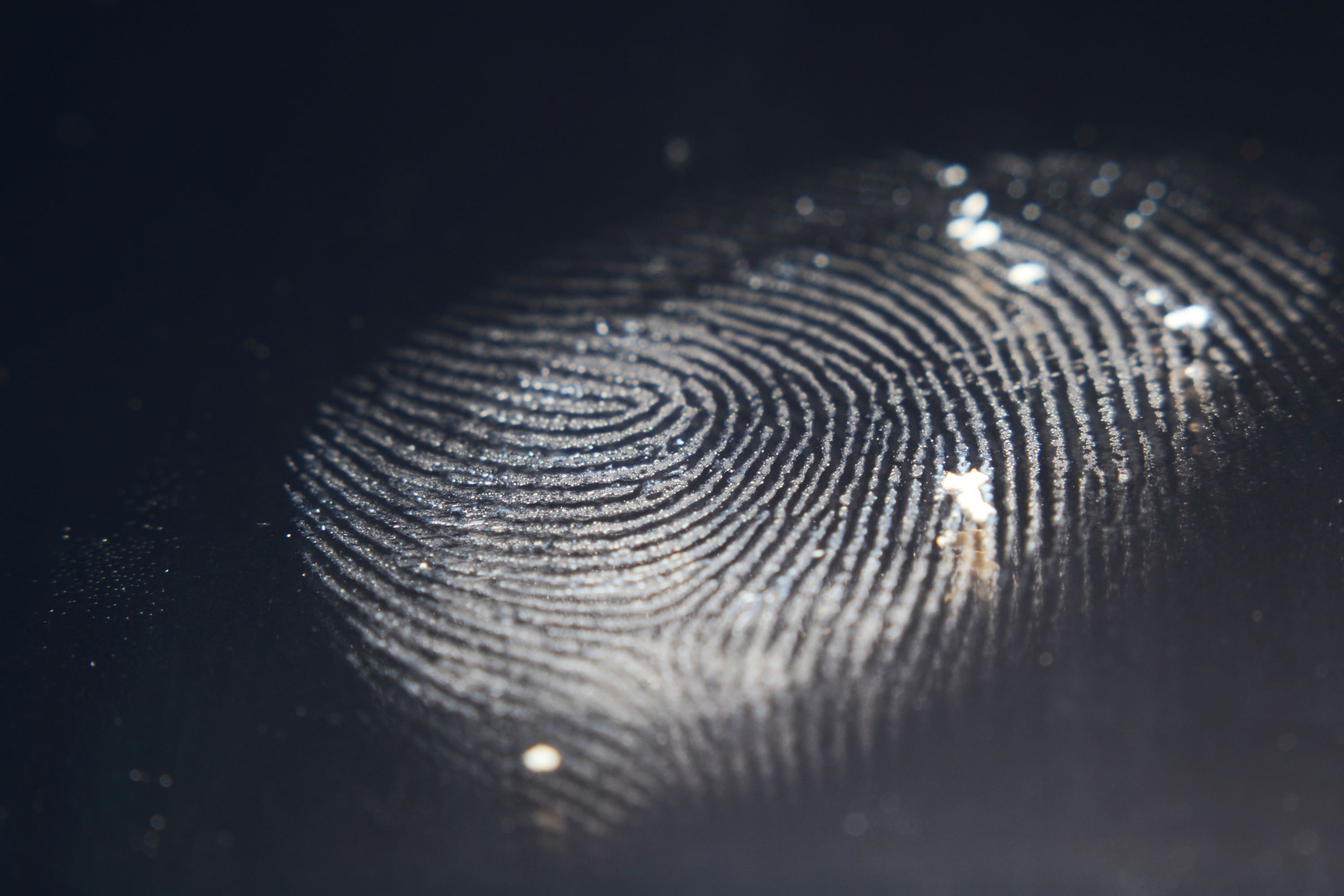 Latent Prints image