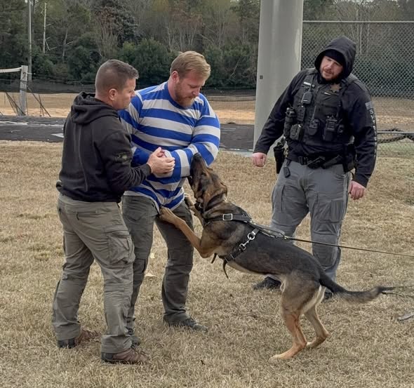 Trainers and Handlers with K9