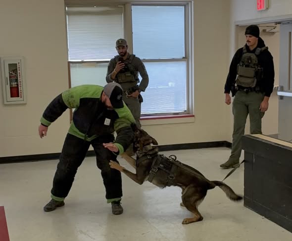Trainers and Handlers with K9