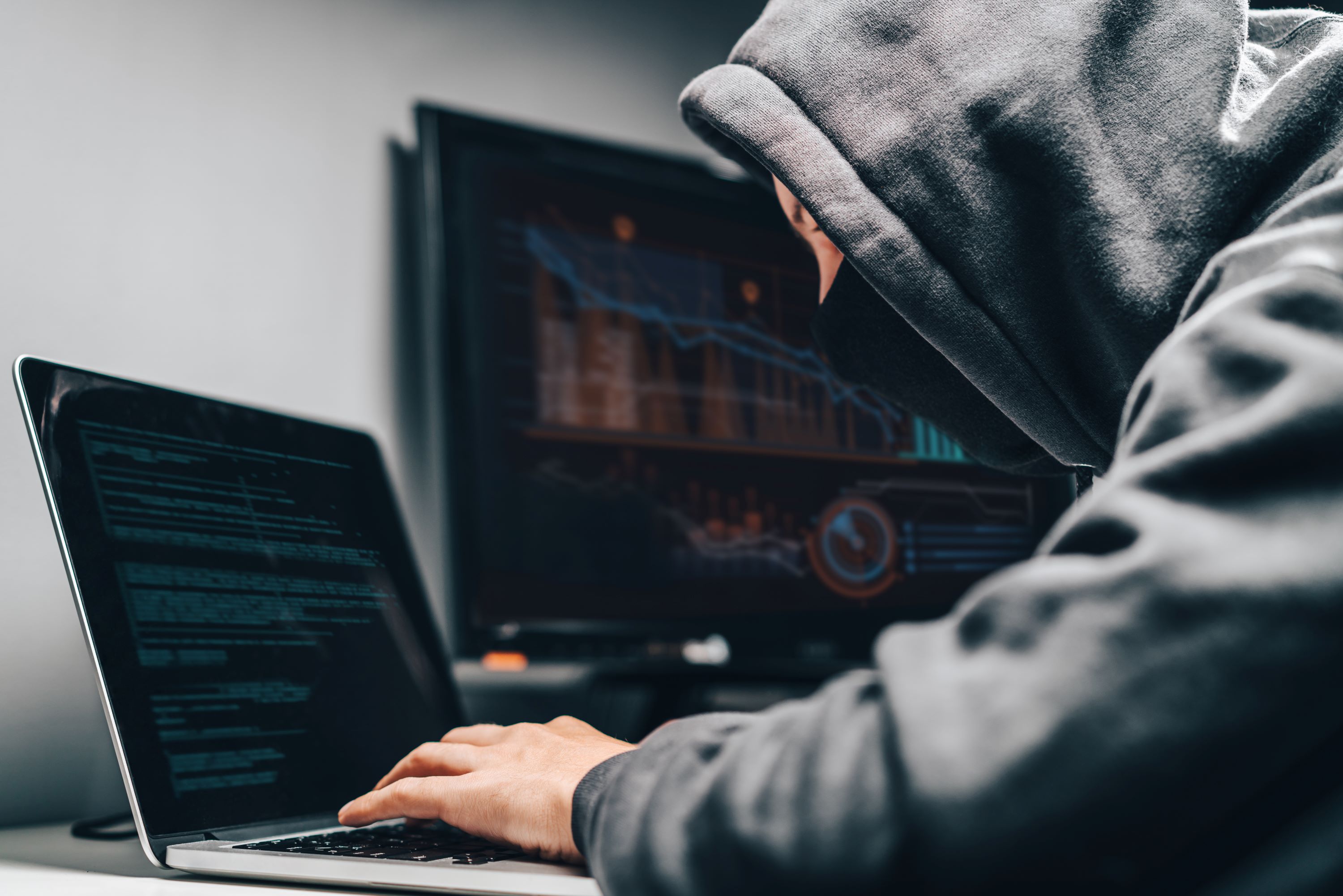 Computer Crimes image